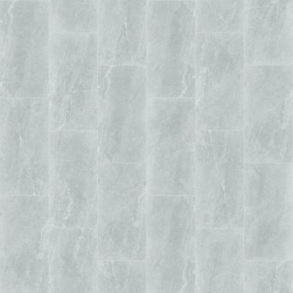 ARENA 12X24 in Silver