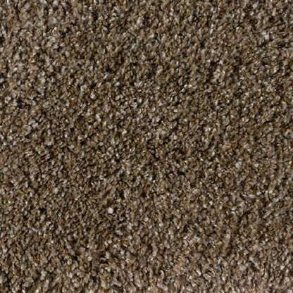 Avantgarde - Shaggy Plush