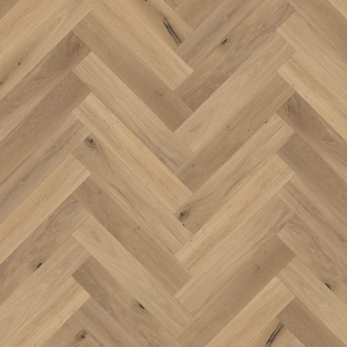 Chateau Accent in Foix