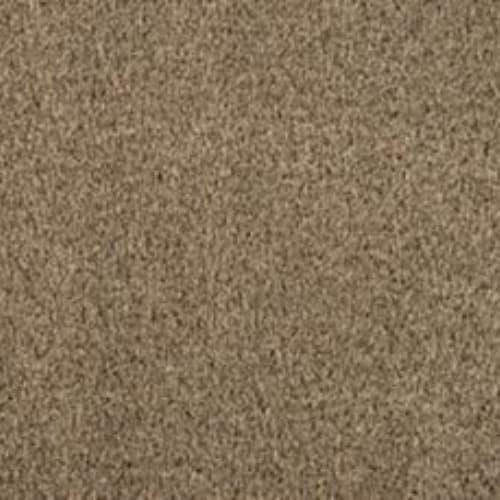 Luxuriant Surface | Mohawk Industries – Carpet Direct