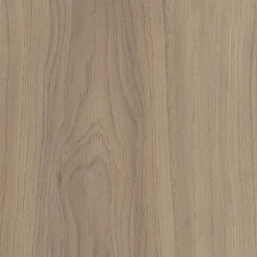 FRONTIER PLUS in Lighthouse | Shaw Industries – Carpet Direct