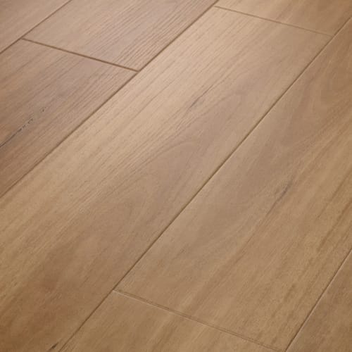 Imagine Nb in Golden Shores | Shaw Industries – Carpet Direct
