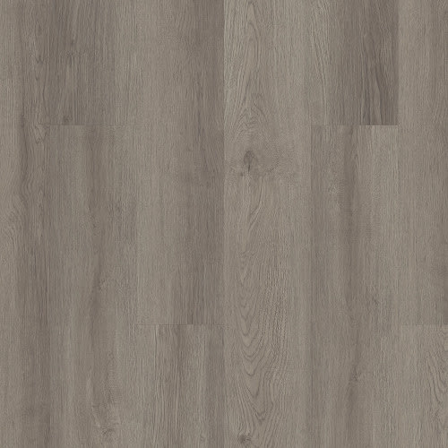 ALBA RESERVE 8 in Blue Ridge | Shaw Industries – Carpet Direct