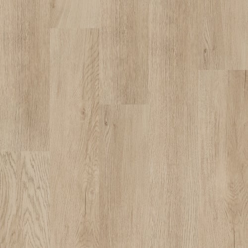 ALBA RESERVE 20 in Sand Dune | Shaw Industries – Carpet Direct