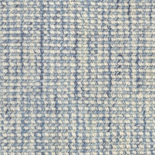 Zeus in Hydro Carpet